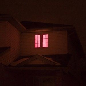 Meet your Posher, Laila